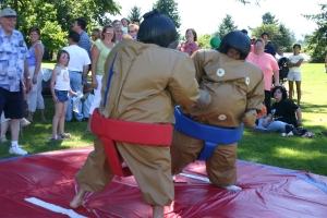 Sumo wrestling suits