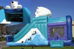 Polar Bear Combo