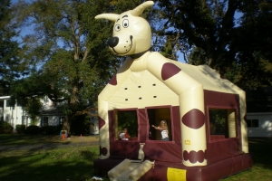 Happy Dog Bounce