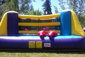 Inflatable Boxing Ring