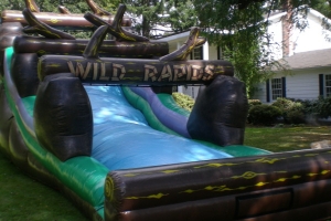 Wild Rapids