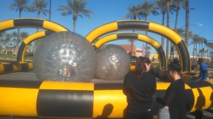 Zorb Ball Rat Race