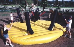 Bungee Bull