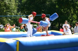 Gladiator Joust
